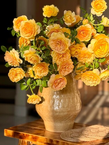 FB_IMG_1733188570096