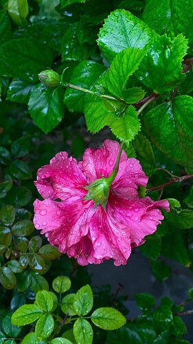 FB_IMG_1737080543520