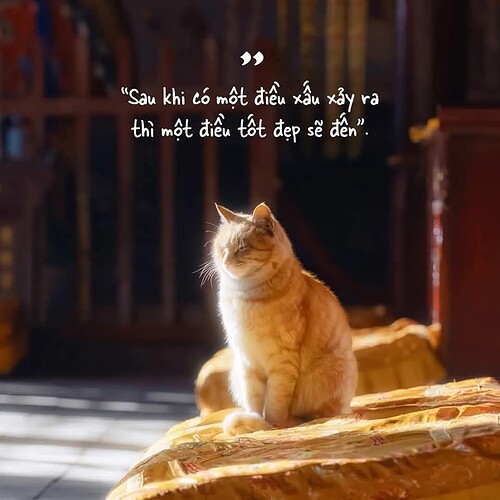 FB_IMG_1742120974030