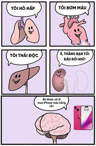 kidney