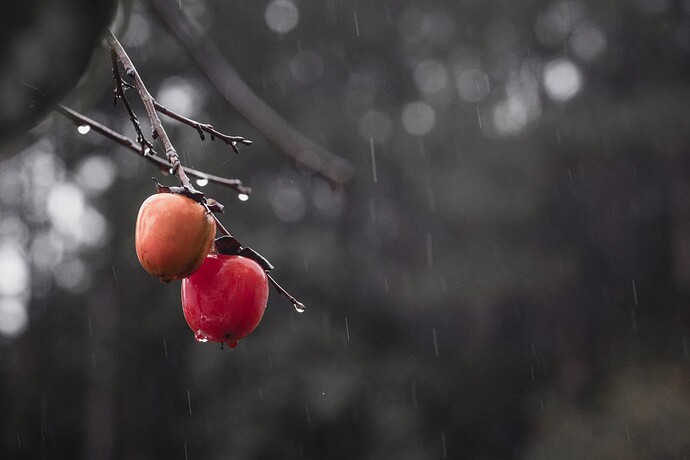 FB_IMG_1758772321504