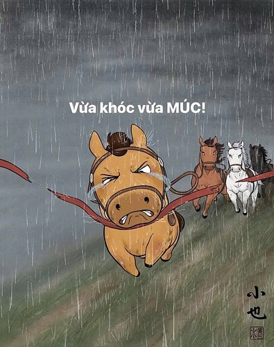 FB_IMG_1764168511633