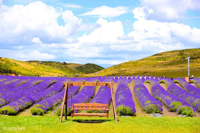 FB_IMG_1717950211661