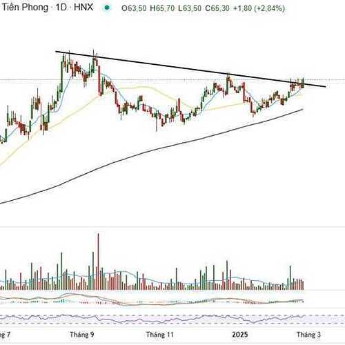 undefined-1740539156559.jpg|526 x 526