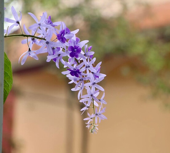 FB_IMG_1740964730300