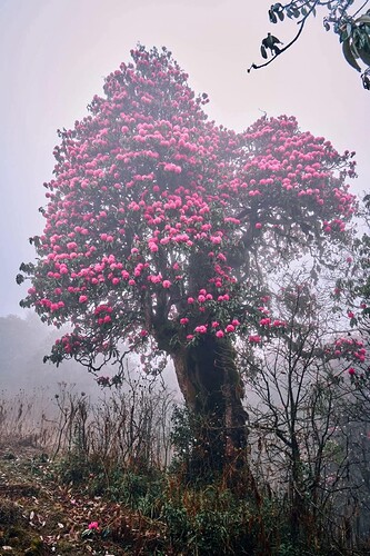 FB_IMG_1740375849164