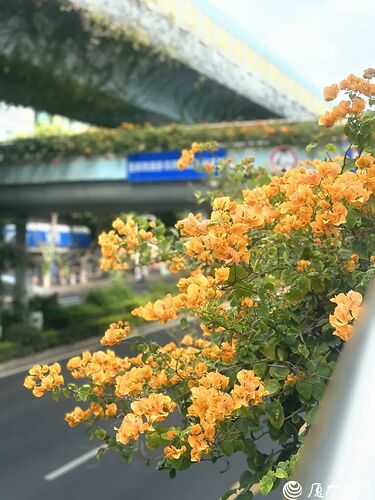 FB_IMG_1764669631867