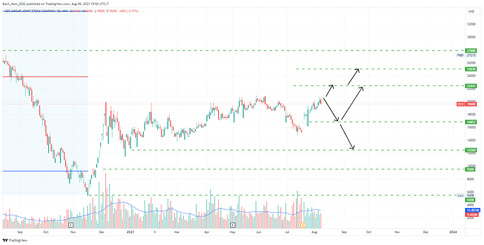 CEO_2023-08-08_19-56-15_5f198