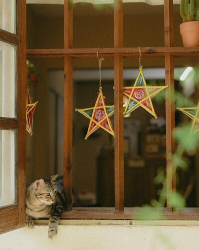 FB_IMG_1759592136950