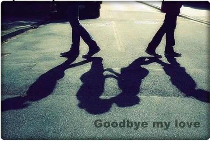 Screenshot_2023-03-13-11-29-16-278-edit_com.android.chrome