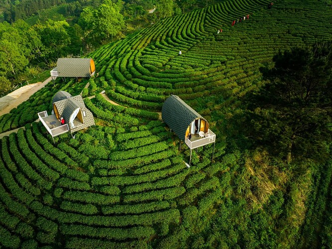 FB_IMG_1755390537971