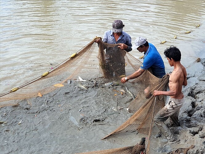 17585113339975721483628972450948