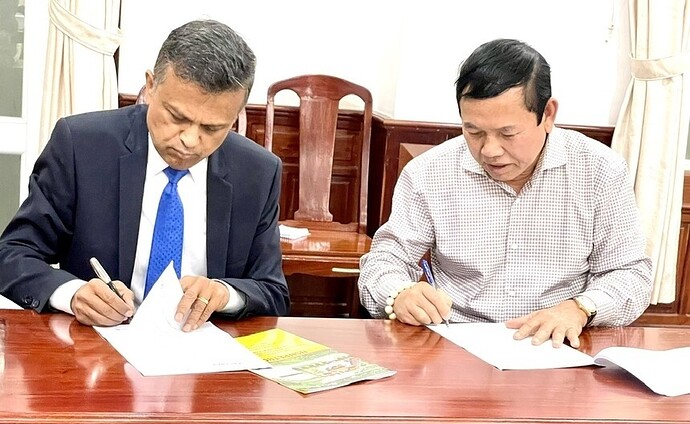Cổ phiếu giảm sâu sau soát xét, Nam Sông Hậu đang vướng vào những vấn đề nào? Cổ phiếu giảm sâu sau soát xét, Nam Sông Hậu đang vướng vào những vấn đề nào?