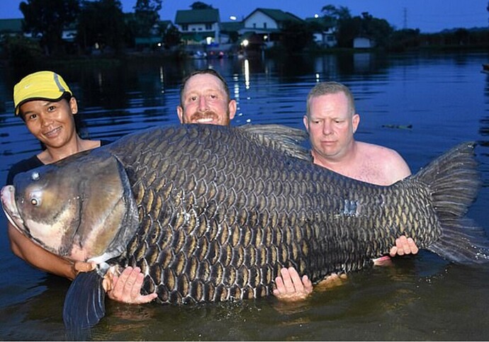 Screenshot_2023-05-26-11-00-55-704-edit_com.android.chrome