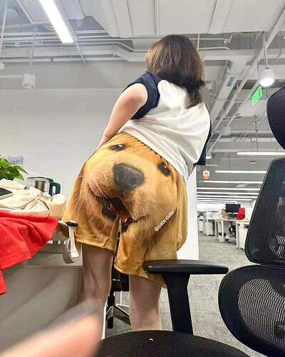 FB_IMG_1694096306736