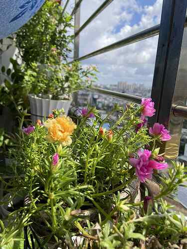 att.ib2rQnjTO2EocWebASS17gi_tugczrfweTUVgsoSmxc