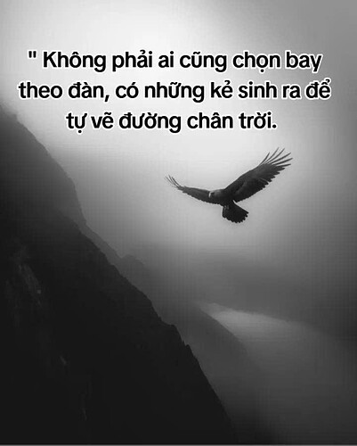 z6639530205281_ad7d00d6b5eb5077a34a63ad127b5e0e