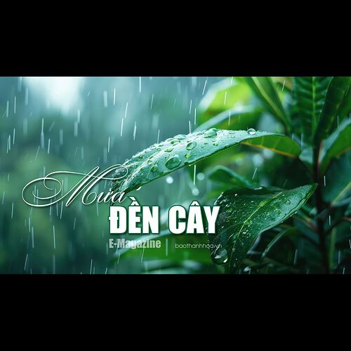 e-9.4-11-social-cover