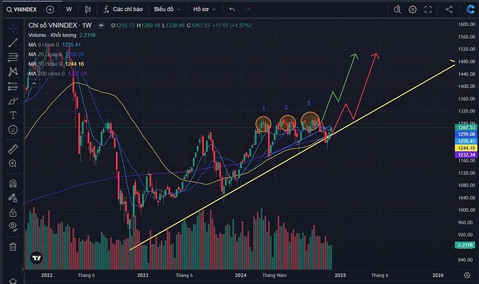 IMG_1733585165538_1733624841434