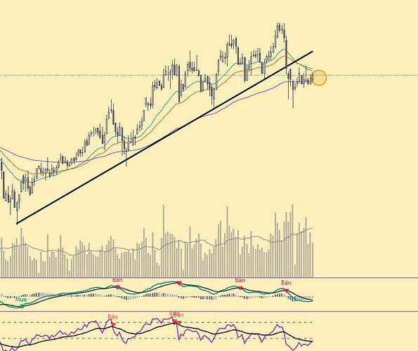 b9105d9d-7c72-4277-bd86-d24ed7b216be