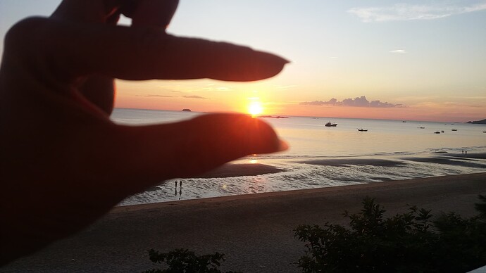 4bdd471c-609a-4156-a6b5-1d726a6c4a5a-1_all_305