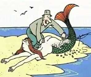 siren2