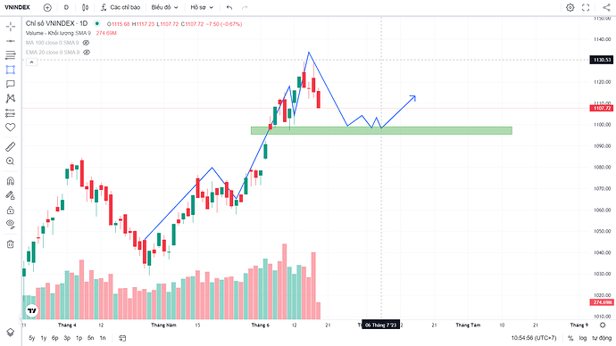 VNindex1100