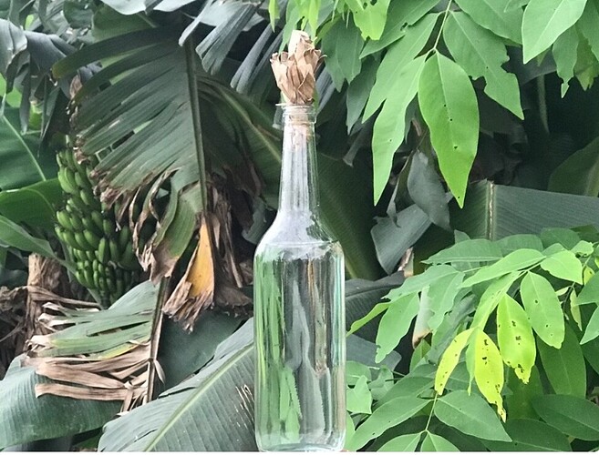 Screenshot_2023-03-01-09-39-38-192-edit_com.android.chrome