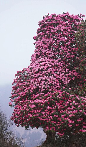 FB_IMG_1740465370374