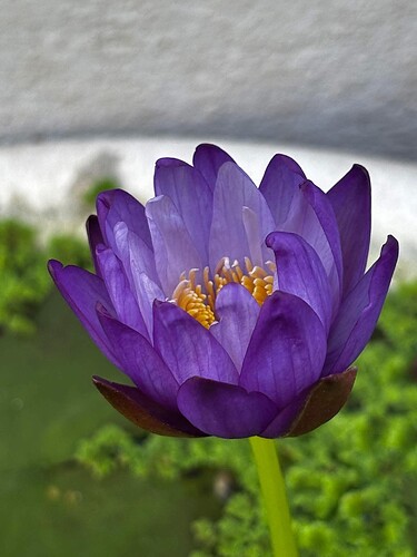 FB_IMG_1757260608014