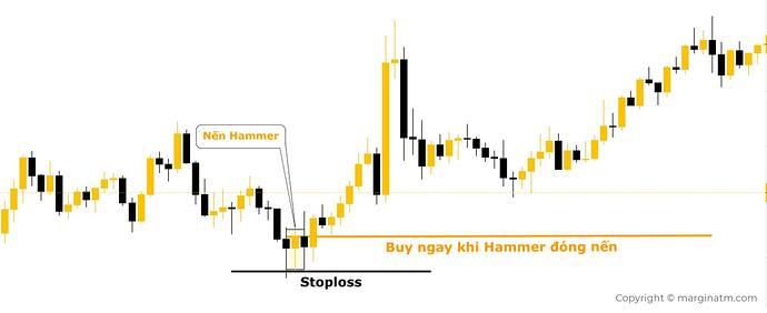 mô hình nến hammer
