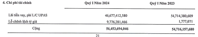 Lỗ chêch lệch tỷ giá (Chưa)
