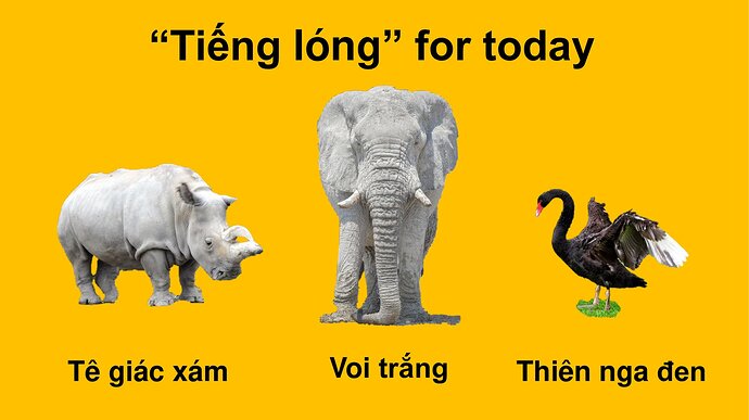 88153845_3821674277857618_5888297886759780352_n