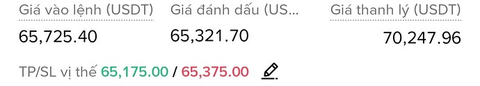 1000041310