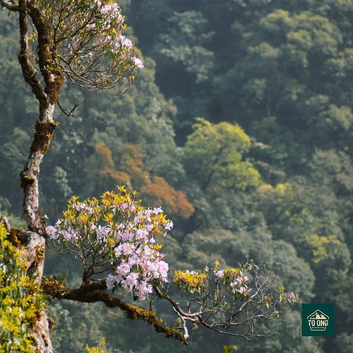 FB_IMG_1739267078329