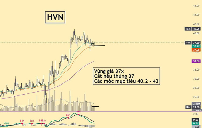 adfd8e24-a752-4a95-9320-6b9385a12b86