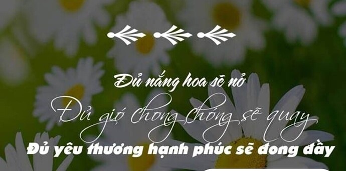 Screenshot_2024-12-04-11-29-53-677-edit_com.android.chrome