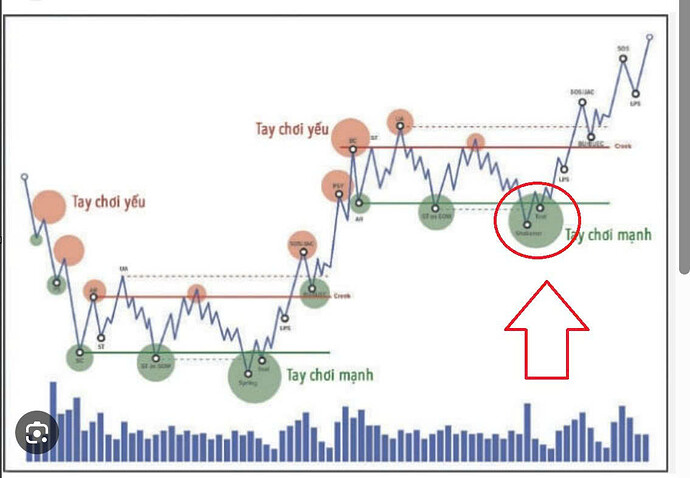 z7206013586721_da2400a6db5da7f8a0170cbe9a4f5603