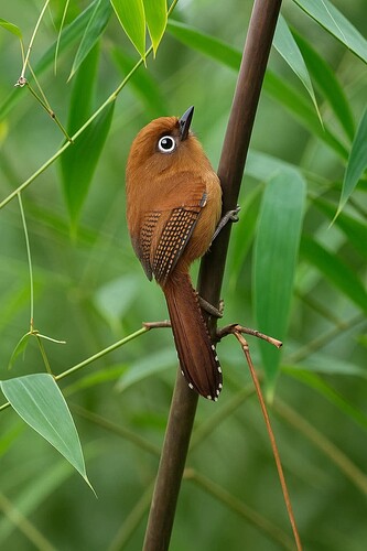 FB_IMG_1747145544891