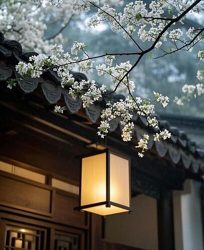 FB_IMG_1740414380307