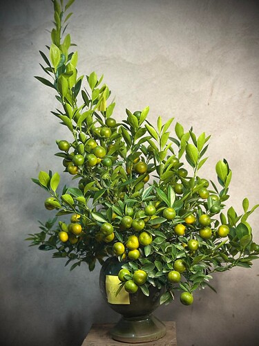 FB_IMG_1764775389309