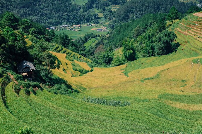 FB_IMG_1759466283826