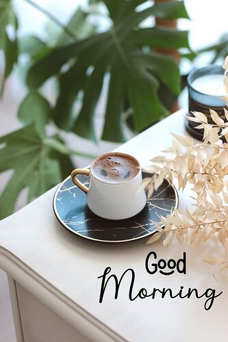 z4553567859337_960afcadbefaf3dc5bfae5fc3de518c7