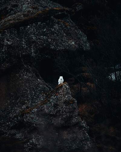 FB_IMG_1732613036249