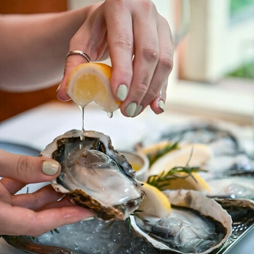 FB_IMG_1754135675376