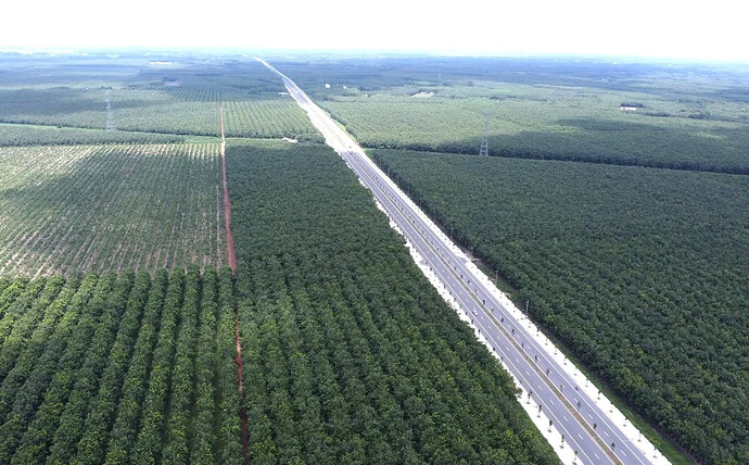 NÓNG: Chỉ đạo mới nhất liên quan đến dự án cao tốc mà Tập đoàn Sơn Hải bị trượt thầu- Ảnh 1.