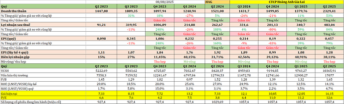 Kết quả kinh doanh cổ phiếu HAG ngày 08.08.2025 tinh hoa tài chính