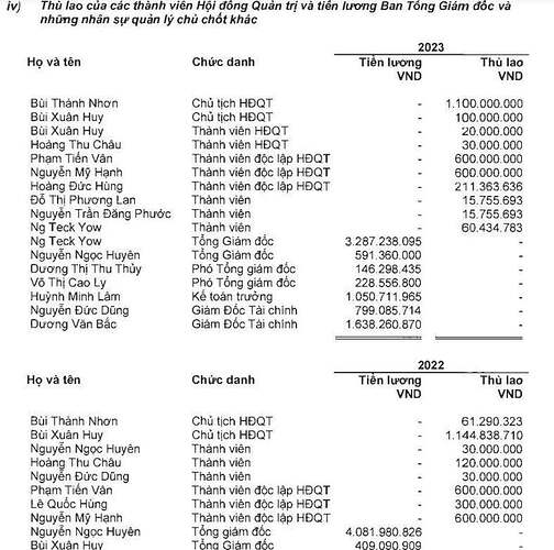 Bất ngờ mức lương sếp Vinamilk, Thế Giới Di Động, Novaland nhận trong năm 2023- Ảnh 4. Bất ngờ mức lương sếp Vinamilk, Thế Giới Di Động, Novaland nhận trong năm 2023- Ảnh 4.