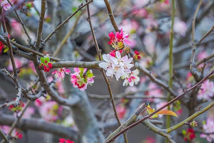 FB_IMG_1706114137725