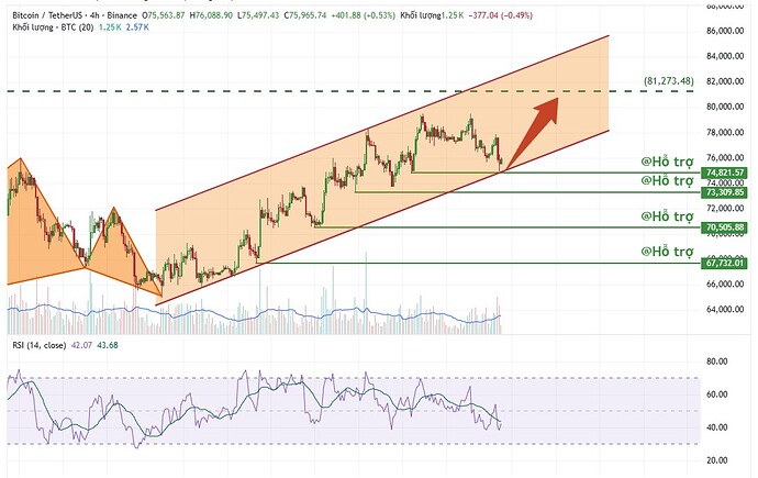 PL-Academy-Chart-1777504429397